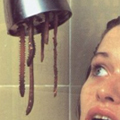 tn_squirm tn_squirm