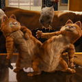 tn_garfield2